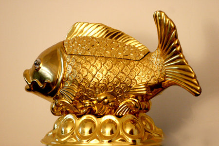 Goldfishの写真素材