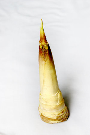 Asparagus, shape, white background, collageの写真素材