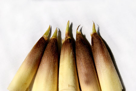 Asparagus, modeling, red background, collageの写真素材