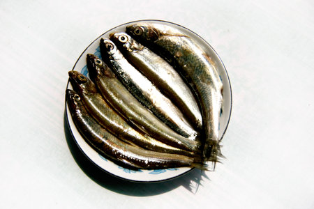 Background, procurement, calories, seize, cateringの写真素材