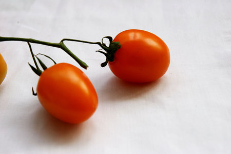 Antioxidant, tomatoes, autumn, background,の写真素材