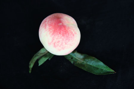 Fruit, peach, red, nutrition, healthの写真素材