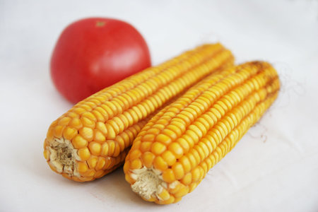 Corn, grain, red, nutrition, health, green,の写真素材