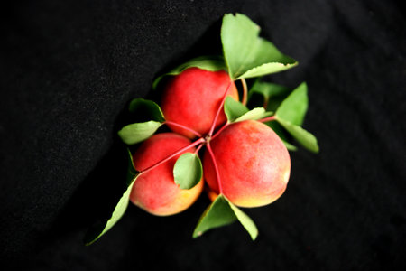 Fruit, vitamins, apricot, red, leafの写真素材