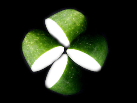 Vegetables, winter melon, green,