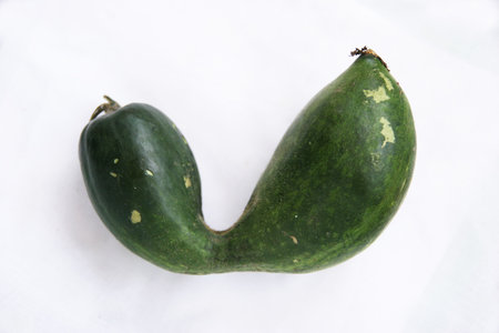 Vegetables, wax gourd, green,の写真素材