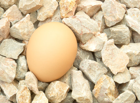 Egg on stone 