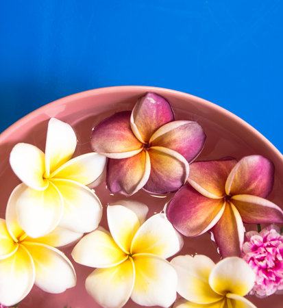 Clorful Plumeria and Pertulaca floating on water in ceramic bowl,closeup.の写真素材