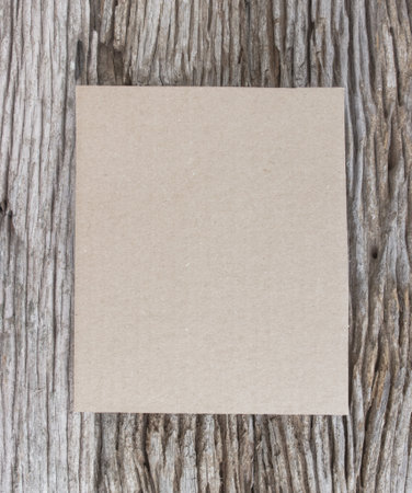 Old brown paper sheet on dry tree trunk.の写真素材