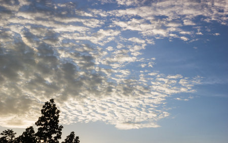 Tropical cloudy on blue sky befor sunset.