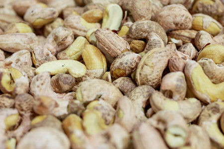 Original Cashew nuts with Shell.の写真素材