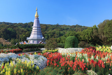 The Pagoda with Colorful flowers blowing in the wind motion blur at Doi inthanon National Park Chiangmai , Thailand.の写真素材