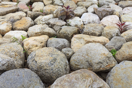 Depth of Stone - Wall Background.の写真素材