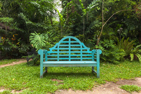 Wooden Chair in Garden Park.