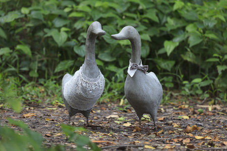 Statue of couple ducks are in park.の写真素材