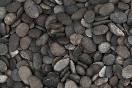 Pebble stones for background. Macro shot. Top view.の写真素材