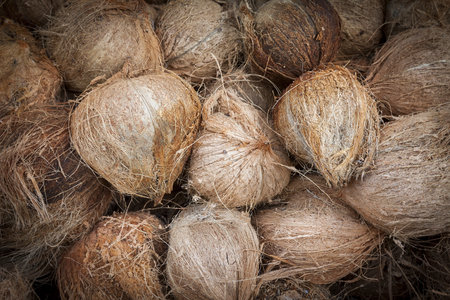 Shallow of Focus to Coconut fruit , Vignette Wall Background Texture.の写真素材