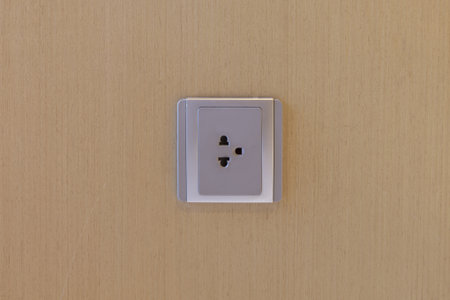 Plug on wooden wall.