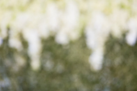 Wedding flowers backdrop - Abstract blurred background.の写真素材