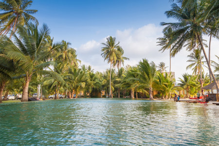 Swimming pool and palm tree near the beach.のeditorial素材