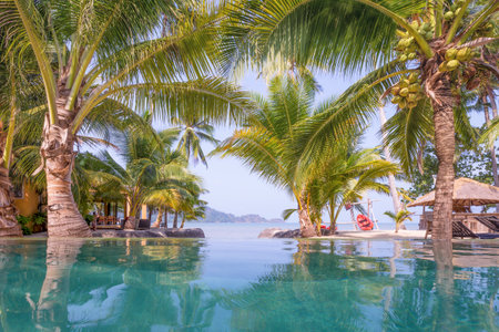 Swimming pool, Palm trees and the beach in front of.のeditorial素材