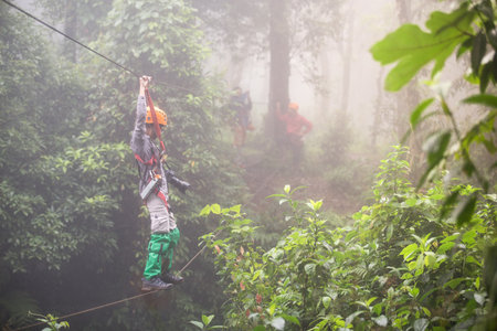 Tourists hanging on rope slings bridge walkway through the treetops in a forest. An activity in a hill.の写真素材