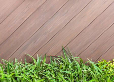 Old brown - gray wooden wall and fresh green leaves background and texture.の写真素材