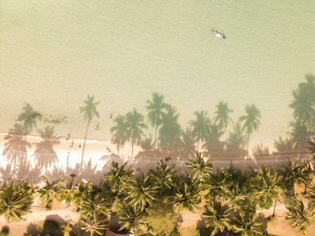 Aerial view tropical white sand beach during sunset with palm tree shadow and tourists enjoying on the beach.の写真素材