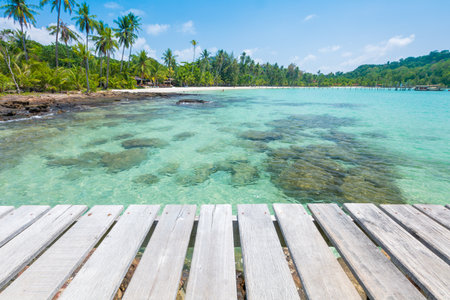 Wooden bridge on tropical white sand beach background. - You can use for travel, summer, vocation and holiday concept.の写真素材
