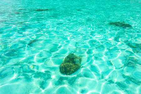 Crystal clear sea water texture. Natural blue background. Turquoise ripple water reflection in...