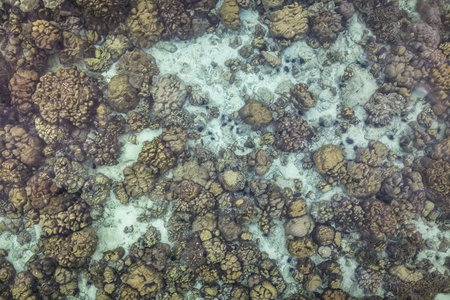 Top view of the crystal blue sea with corals and rocky seashore. Aerial view from drone.の写真素材