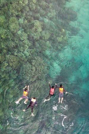 Group of tourists are swimming in blue sea. Snorkeling in full-face snorkeling mask. Coral reef in shallow sea. Snorkel undersea. Seashore underwater photo. Active seaside vacation.の写真素材