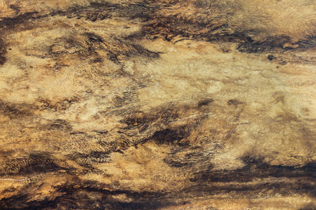 Rustic surface wood table texture template and rustic wood table texture top for your design.の写真素材