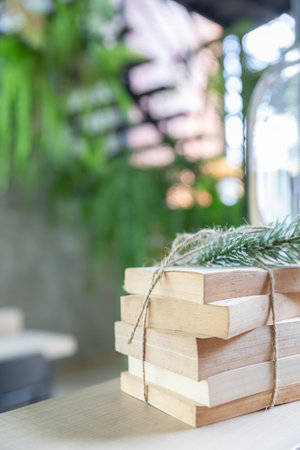 Old books on shelf. Education background. Back to school. Book, hardback colorful books on wooden shelf.  Education business concept. Copy space for text.の写真素材