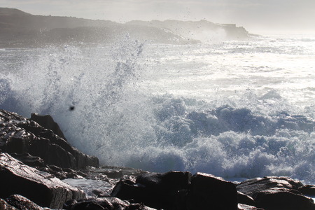 Wild ocean