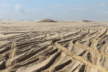 Empty wild beach and sand dune, driving on the beachの写真素材