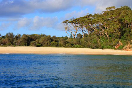 Natural landscape with ocean, beach, trees and blue skyの写真素材