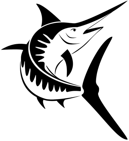 Jumping marlin illustration on white backgroundのイラスト素材