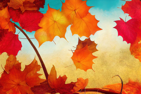 Seasonal Banner with Pumpkin and Fall Leaves in a Natural Scene. Thanksgiving concept with copy space.の素材