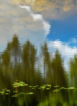 Reflections in water with trees in the background