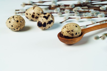 Quail eggs with willow on white background. Easter, Spring holidaysの写真素材