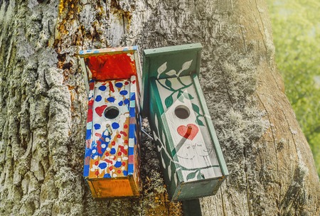 Colorful nesting boxes on the tree in summer sunshineの写真素材