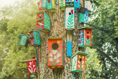 Colorful nesting boxes on the tree in summer sunshineの写真素材