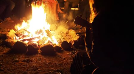 Bonfire in the night, camping in summer