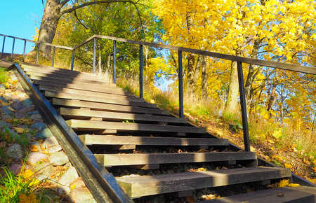 Sunny autumn with yellow trees in Lithuaniaの写真素材