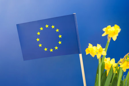Small flag of the EU on blue backgroundの写真素材