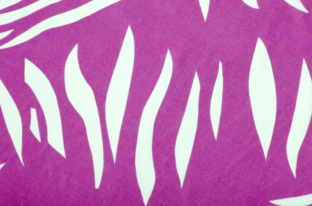 Magenta pink and white zebra pattern. Asymmetric stripes shapes print as background.の写真素材