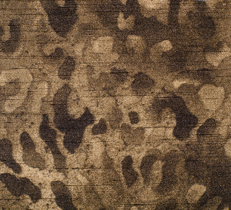 Brown leopard fur pattern. Spotted animal print as background.の写真素材