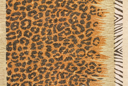 Brown and black leopard fur pattern. Leopard print and a stripe of zebra print. Spotted animal print...