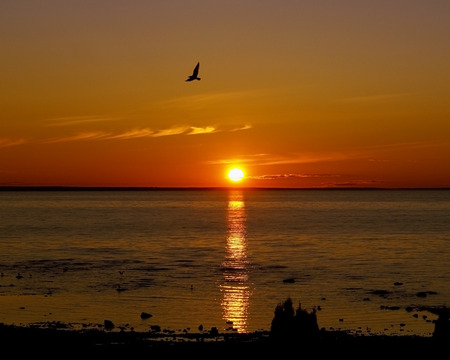 Sunrise over the lake                の写真素材